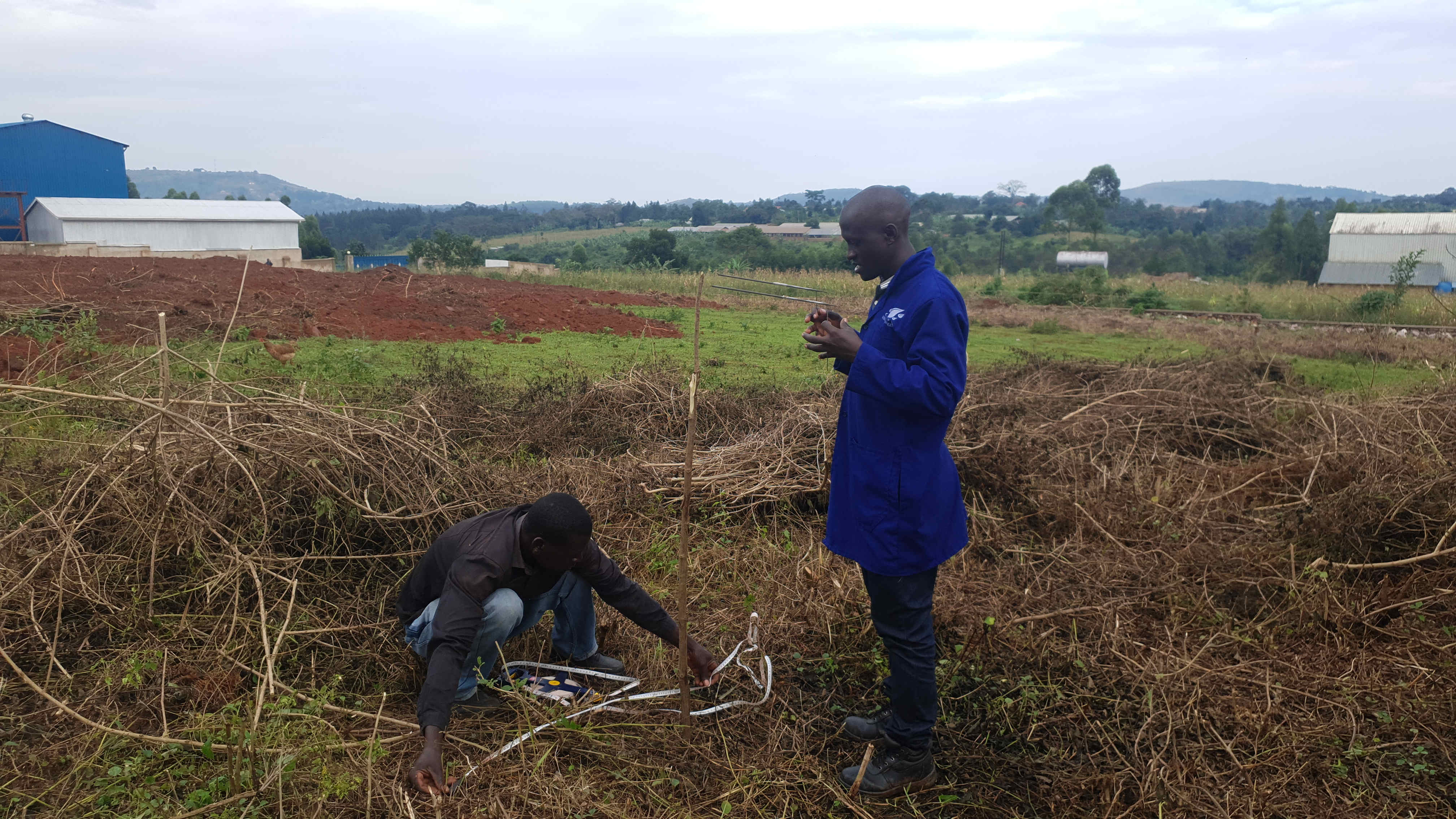 Drip Systems Archives Weis Engineering Ltd