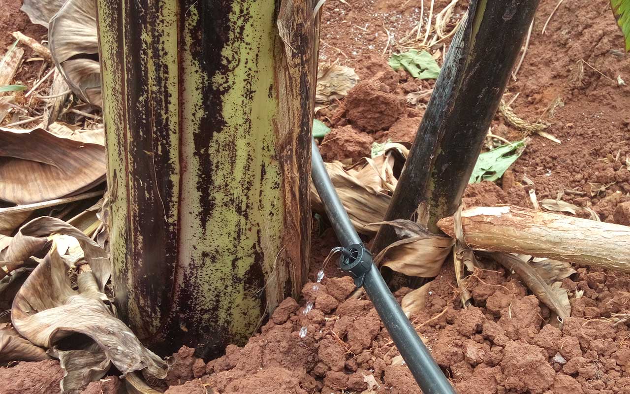 Drip irrigation systems Weis Engineering Ltd